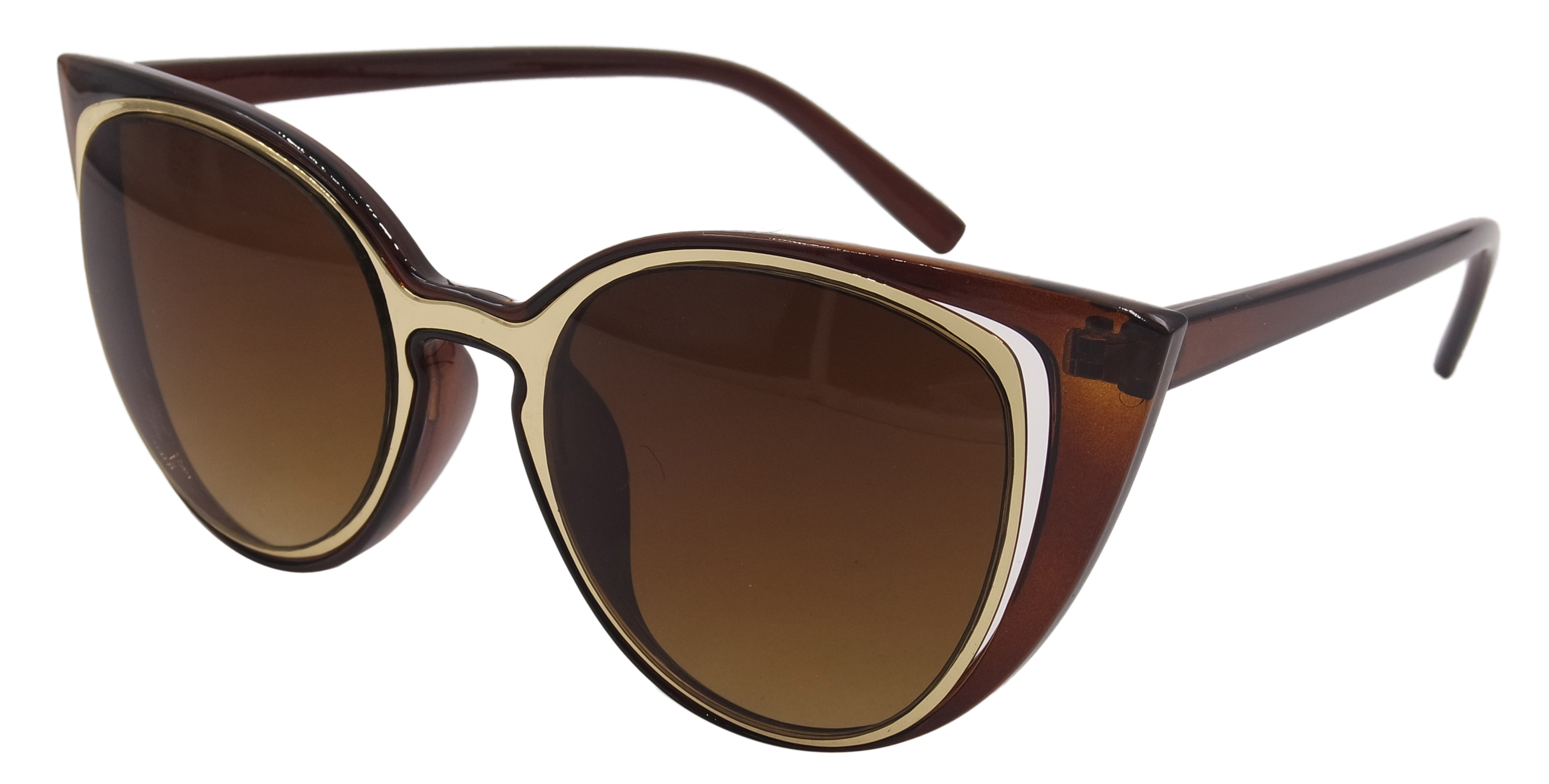 sunglass